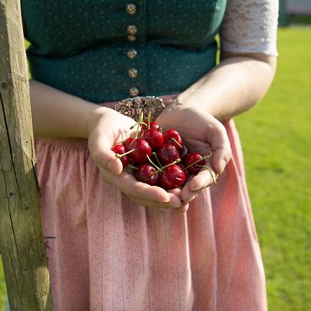 Obstgarten Gaestehaus Hollenstein an der Ybbs Exteriér fotografie