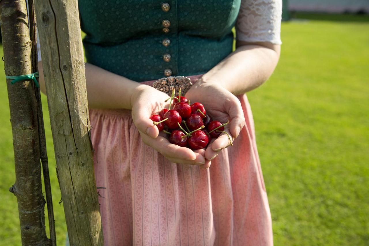 Obstgarten Gaestehaus Hollenstein an der Ybbs Exteriér fotografie